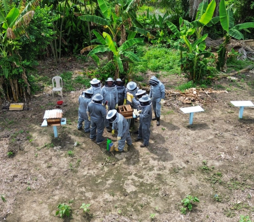 Proyecto emprendimiento apícola comunitario RSE CDE S.A.